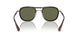 114458 - Havana - Green Polar