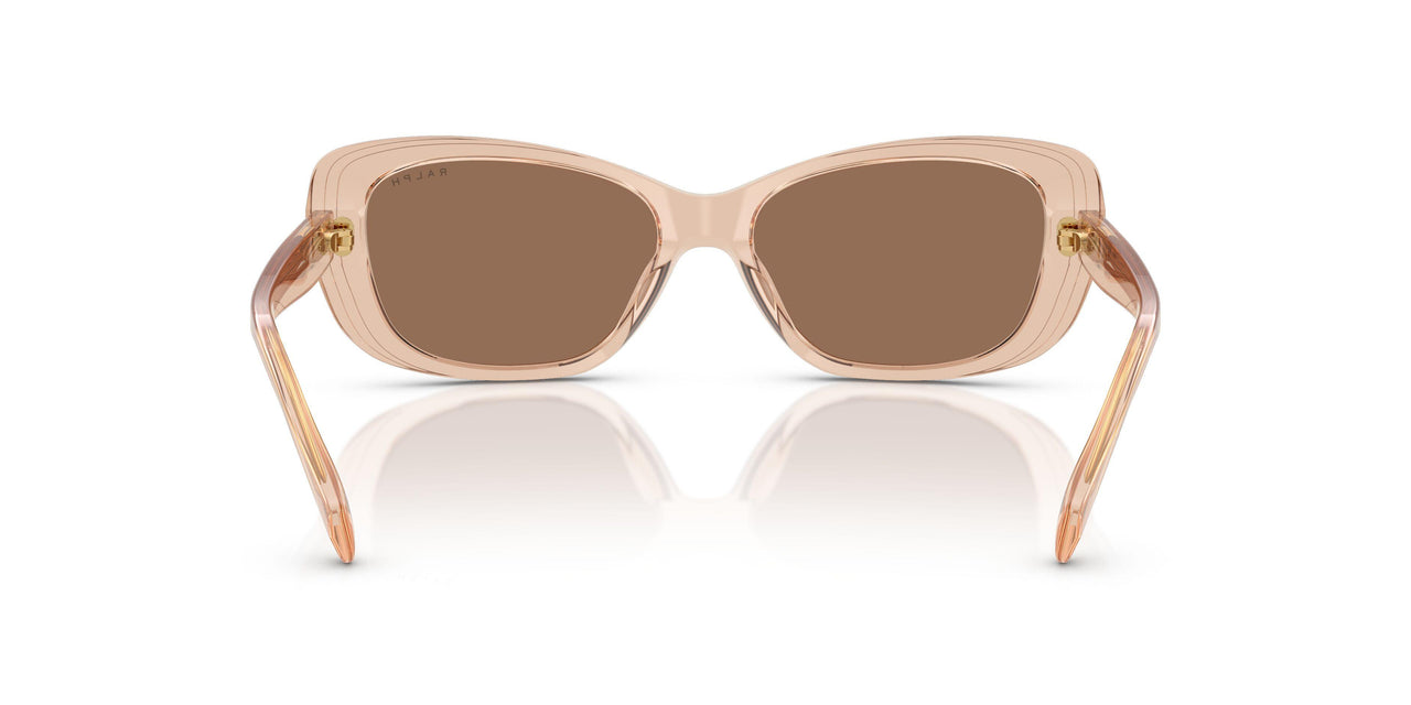 621173 - Brown - Brown