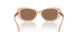 621173 - Brown - Brown