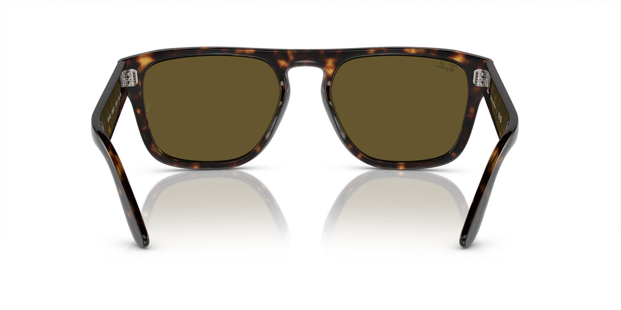 135973 - Tortoise - Dark Brown