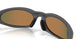 953907 - Grey - Prizm Ruby Polarized