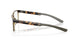 801702 - Tortoise
