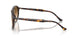 902/51 - Tortoise - Clear Gradient Brown