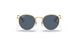 286/2V - Gold - Polar Dark Blue