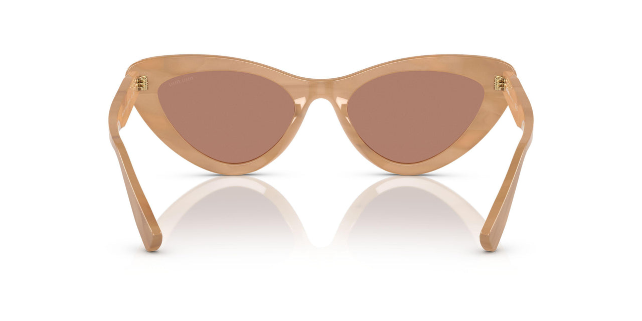 17H1P1 - Beige - Dark Brown