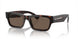 17N08T - Tortoise - Brown