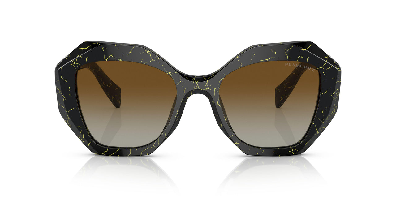 19D6E1 - Black - Polar Brown Gradient