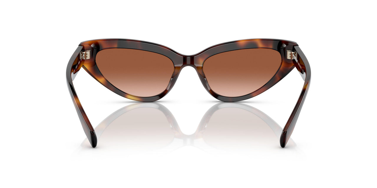 331613 - Havana - Brown Gradient