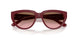 304814 - Red - Pink Gradient Brown