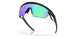 940306 - Black - Prizm Golf