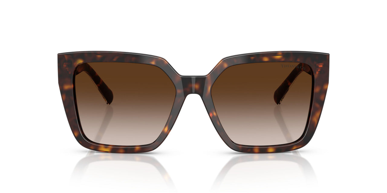 80153B - Tortoise - Brown Gradient