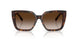 80153B - Tortoise - Brown Gradient