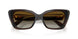 1084T5 - Brown - Polar Brown Gradient