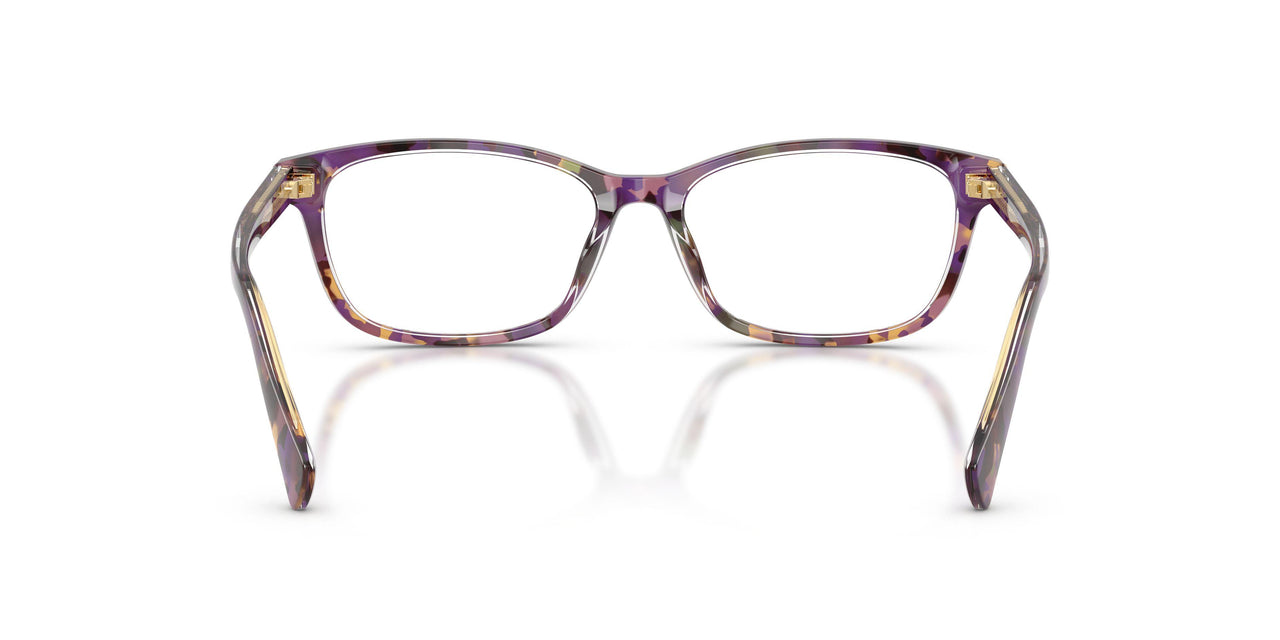 6303 - Tortoise