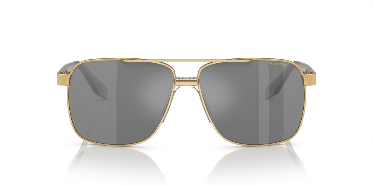 1002Z3 - Gold - Dk Grey Mirror Silver Polar