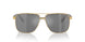 1002Z3 - Gold - Dk Grey Mirror Silver Polar