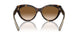 801551 - Tortoise - Clear Gradient Brown