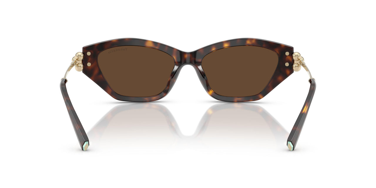 80153G - Tortoise - Light Brown