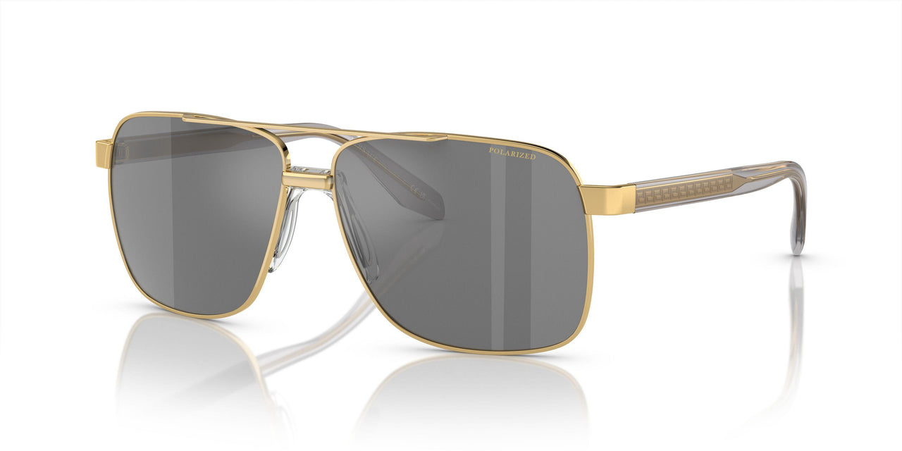 1002Z3 - Gold - Dk Grey Mirror Silver Polar