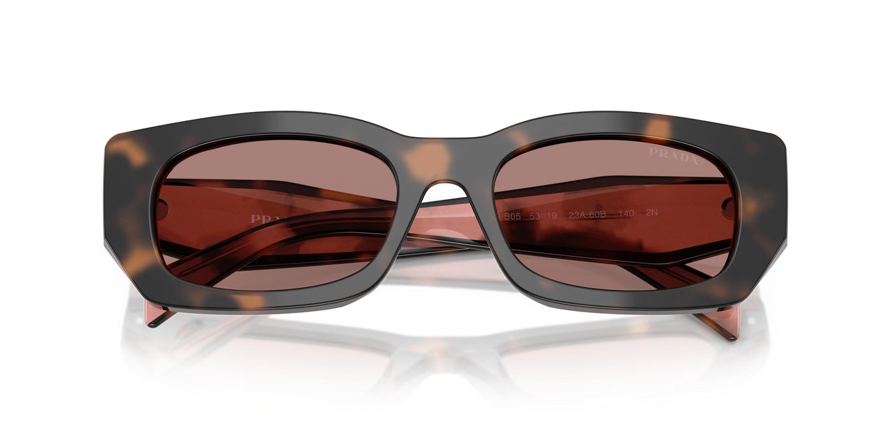 23A60B - Tortoise - Light Brown