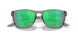 947918 - Grey - Prizm Jade