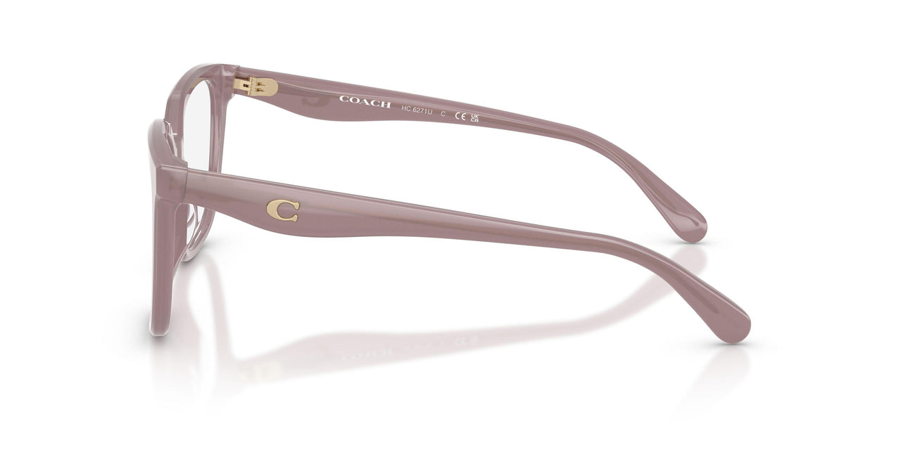 5495 - Brown