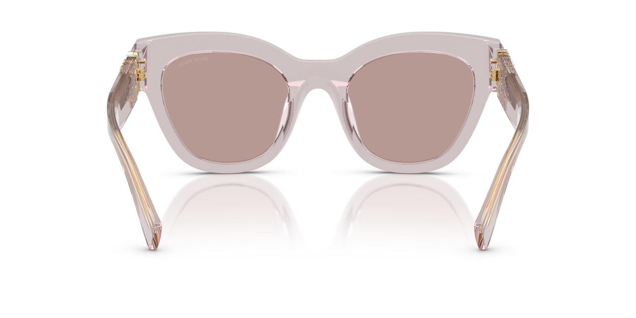 12W20I - Violet - Light Purple Brown