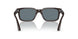 11743R - Brown - Dark Blue Polar