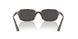 135987 - Tortoise - Dark Grey