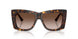500213 - Tortoise - Gradient Brown