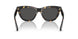 410687 - Tortoise - Dark Grey