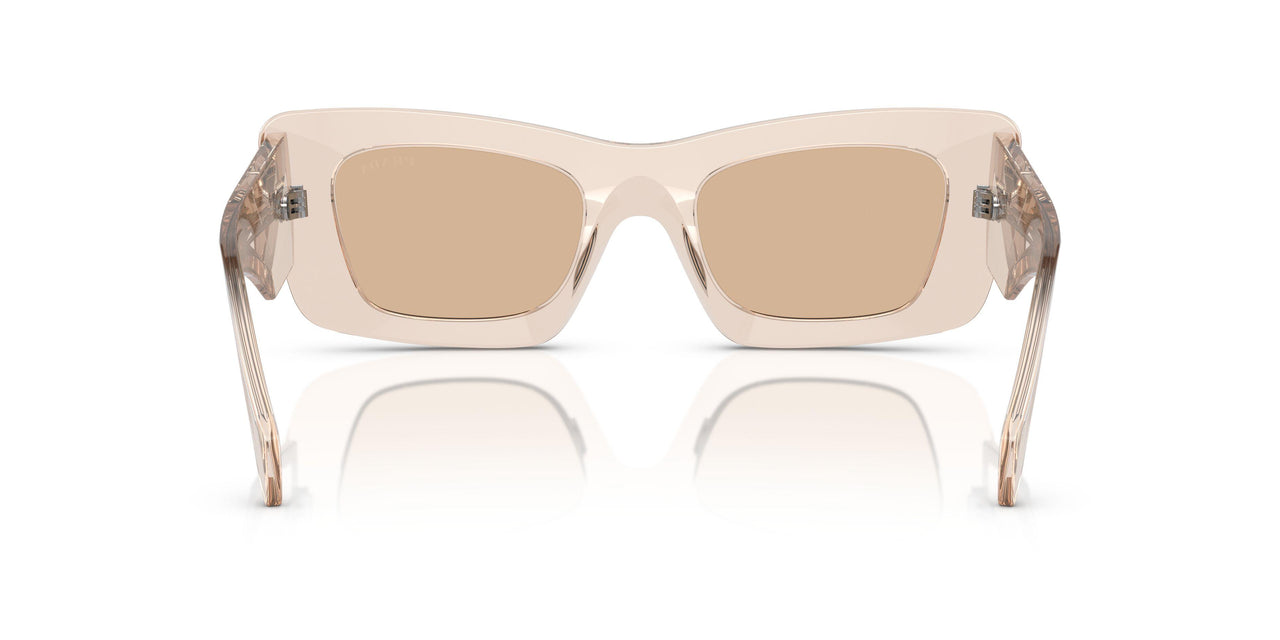 19M4I2 - Brown - Light Brown