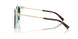 81343B - Brown - Brown Gradient