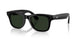 601/1M - Black - Clear/graphite Green