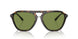 50034E - Brown - Green