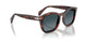 24/S3 - Tortoise - Light Blue Gradient Dark Blue
