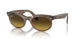 138685 - Light Brown - Brown