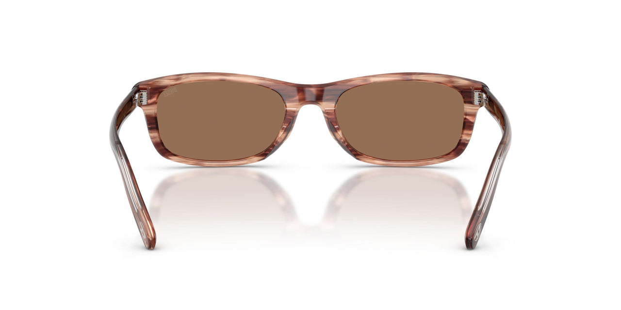 203673 - Brown - Dark Brown