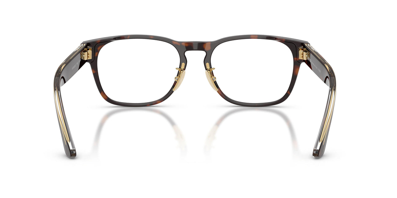 750 - Tortoise