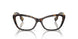 3002 - Brown