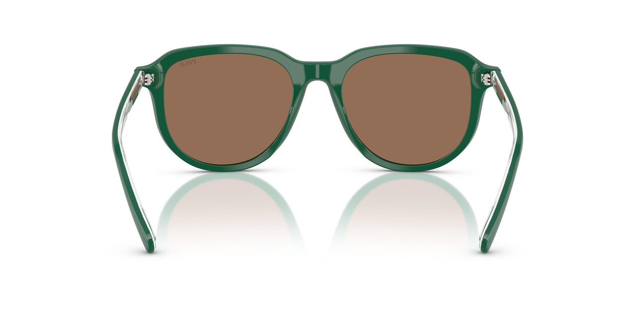 542173 - Green - Dark Brown