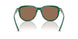 542173 - Green - Dark Brown