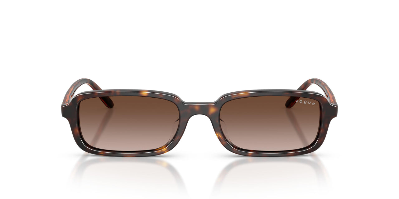 W65613 - Brown - Brown Gradient
