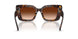 300274 - Brown - Brown Gradient