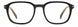 005K-00 - BLACK HAVANA