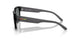 291081 - Black - Polarized Dark Grey