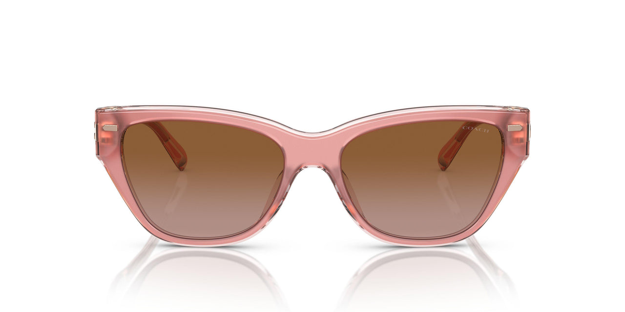 574313 - Pink - Brown Gradient