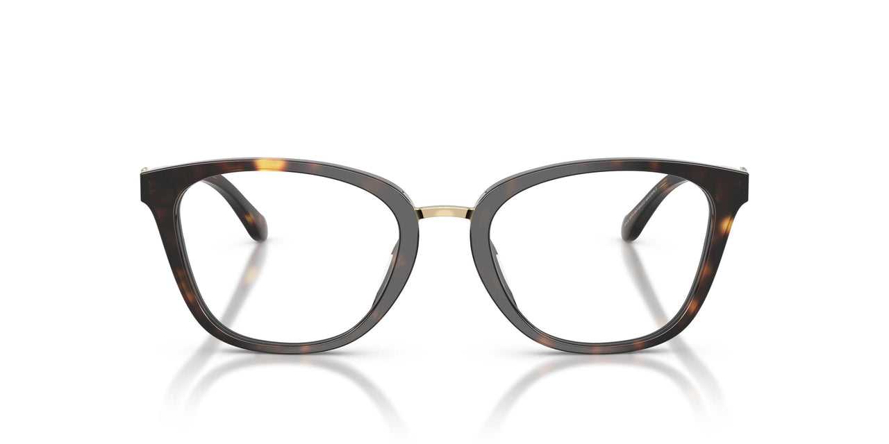 5120 - Tortoise