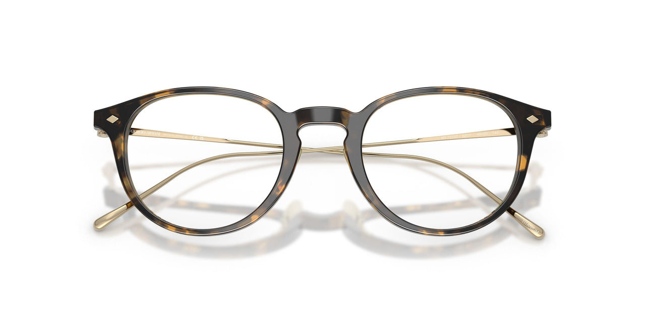 6207 - Tortoise