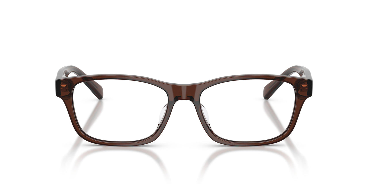 6282 - Brown